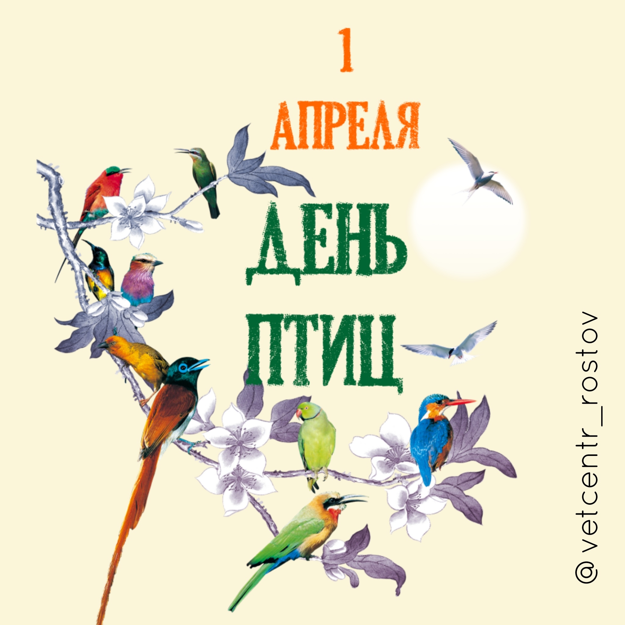 1 апреля -Международный день птиц